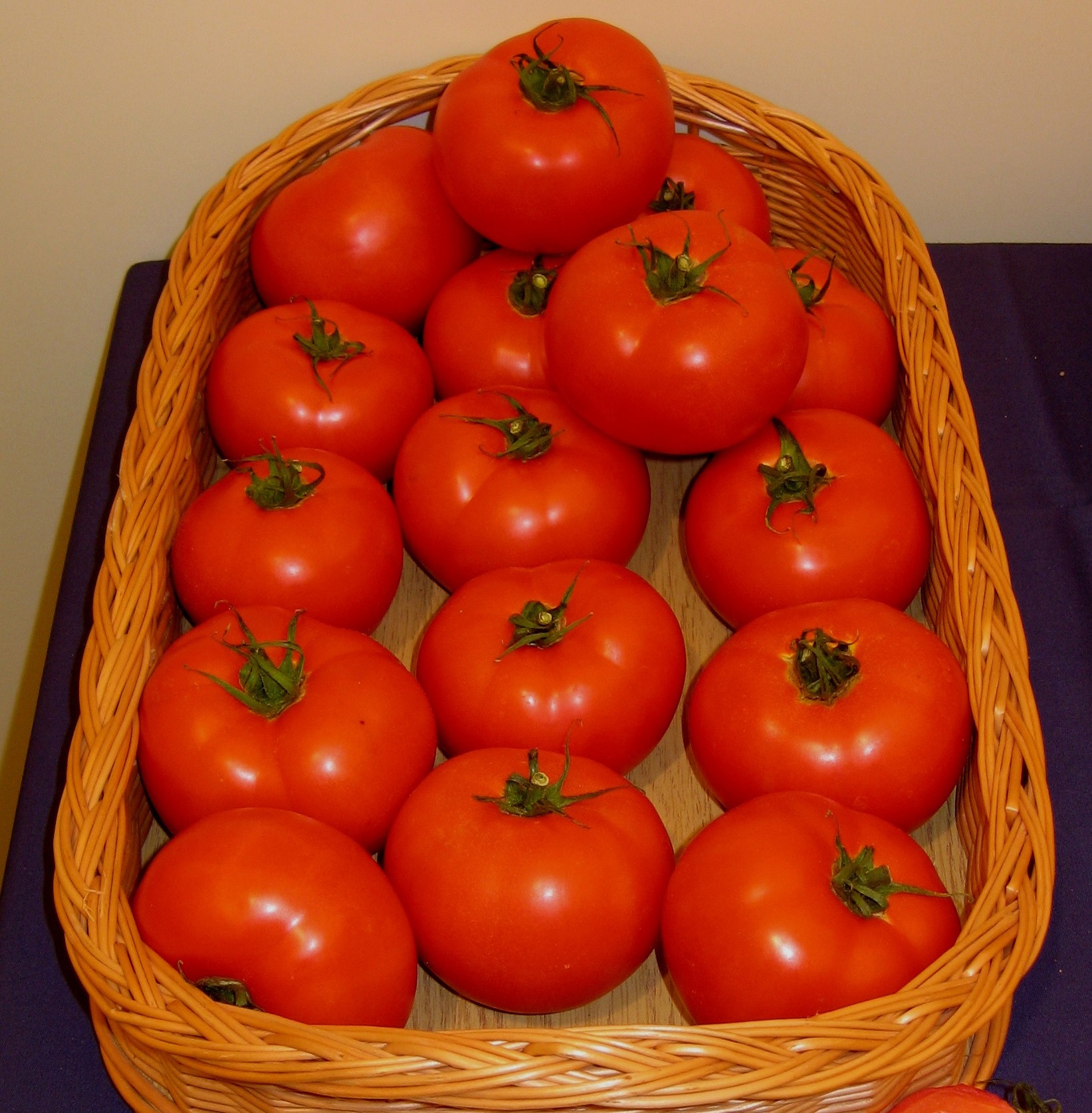 Pomidor szklarniowy LIANNE F1 LSL 500 nasion